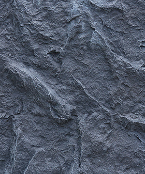 2024.10.22_13.58.36_4636