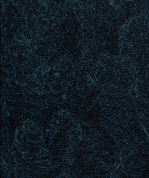 2024.7.2_10.52.30_9579