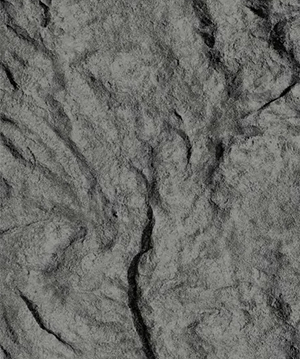 2025.4.12_17.54.40_8053