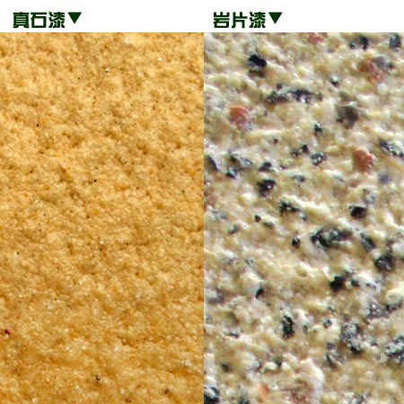 尊龙人生就是博·Z6「中国区」首页官网