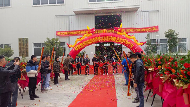 尊龙人生就是博·Z6「中国区」首页官网