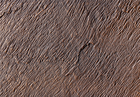 尊龙人生就是博·Z6「中国区」首页官网