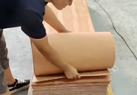 尊龙人生就是博·Z6「中国区」首页官网