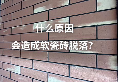 尊龙人生就是博·Z6「中国区」首页官网